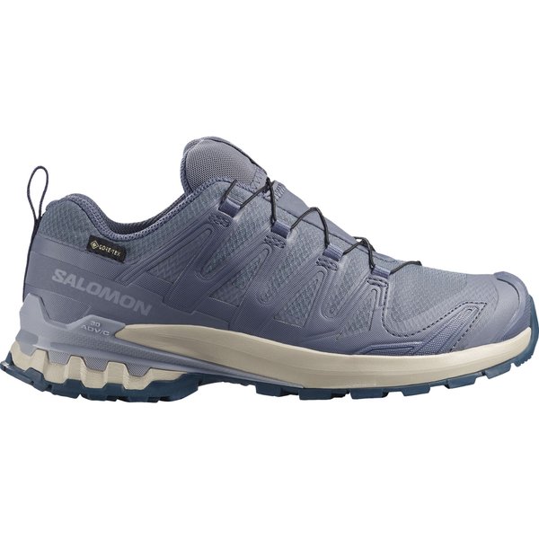 Salomon XA PRO 3D V9 GTX, trail shoes, women, grisaille/tradewinds/spellbound