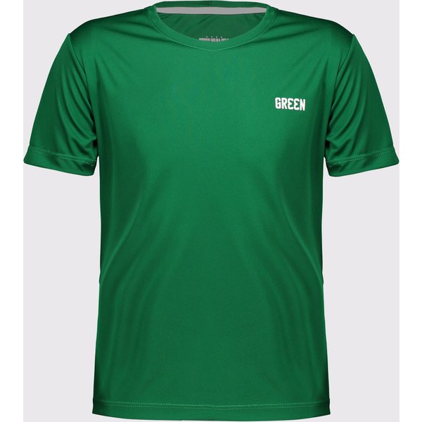 Camisa Gr33n Goiás Bandeira 2023 Juvenil Verde