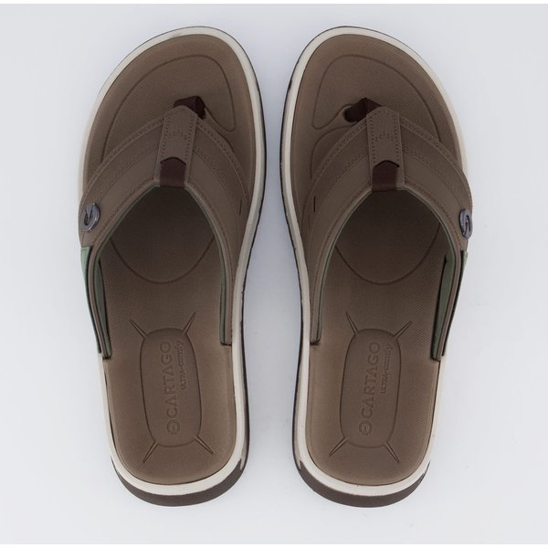 Chinelo Cartago Cairo Marrom