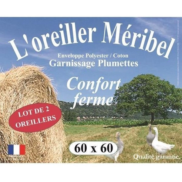Dodo Lot De 2 Oreillers Meribel Plumettes 60X60Cm-image