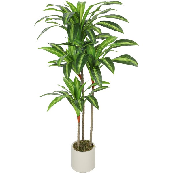 Homcom Plante Artificielle Dracaena Verte En Peva Et Bois Avec Pot En Pp Et Ciment, 60X40X120 Cm-image