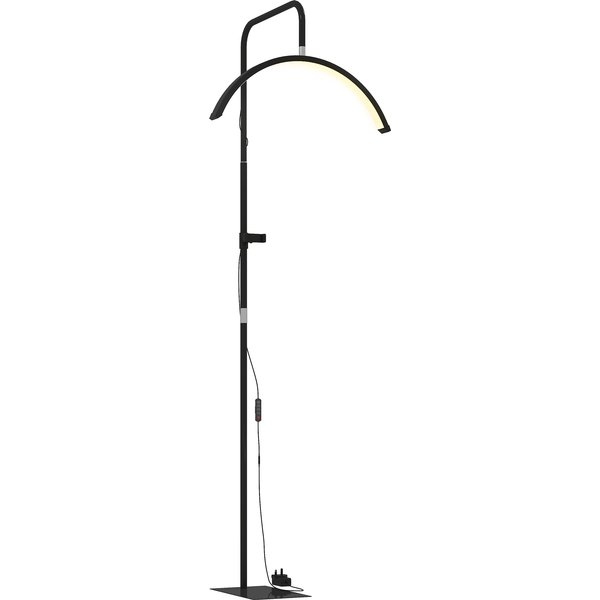 HOMCOM Half Moon Lash Light, Beauty Floor Lamp with 350° Rotatable Head, 7 Colour Temperature and Phone Holder, Dimmable Standing Lamp for Eyelash Extension, Tattoo, Nails, Skincare, Black