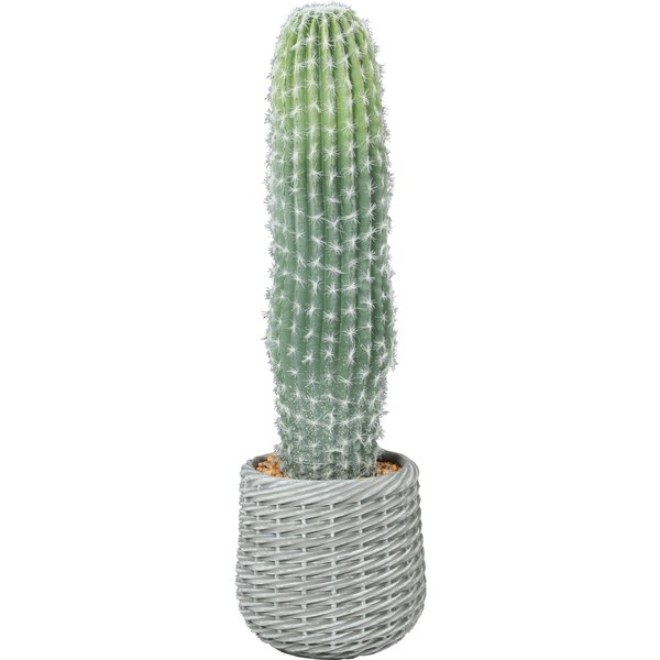 Homcom Cactus Artificiel 66 Cm, Plante DéCorative Avec Pot Pour DéCoration IntéRieure, Vert-image