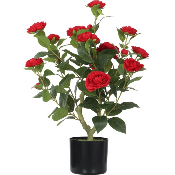 Homcom Plante Artificielle CaméLia 65 Cm Arbre Artificiel En Pot Avec Fleurs En Soie RéAlistes 116 Feuilles Effet Mousse Rouge-image