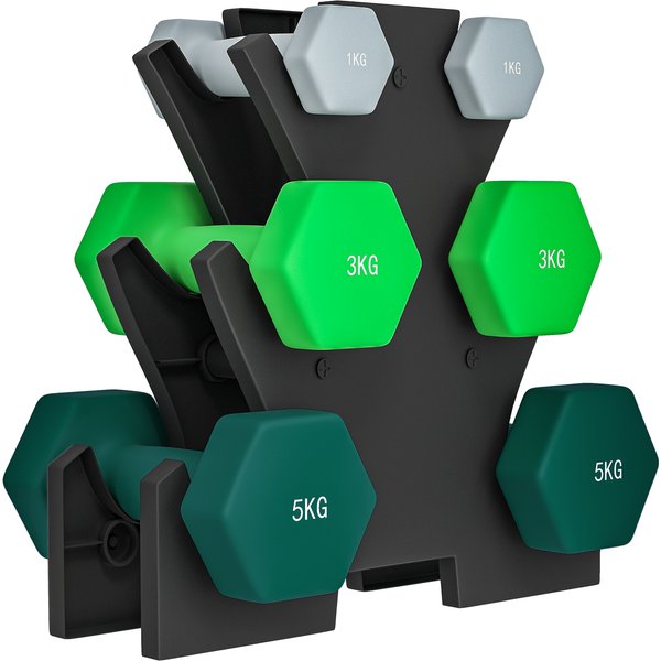 SPORTNOW Hanteln Set 6 Kurzhanteln mit Hantelständer, 2 x 1kg, 2 x 3kg, 2 x 5kg Hantelset aus Metall für Fitness, Gymnastik, Zuhause Aosom