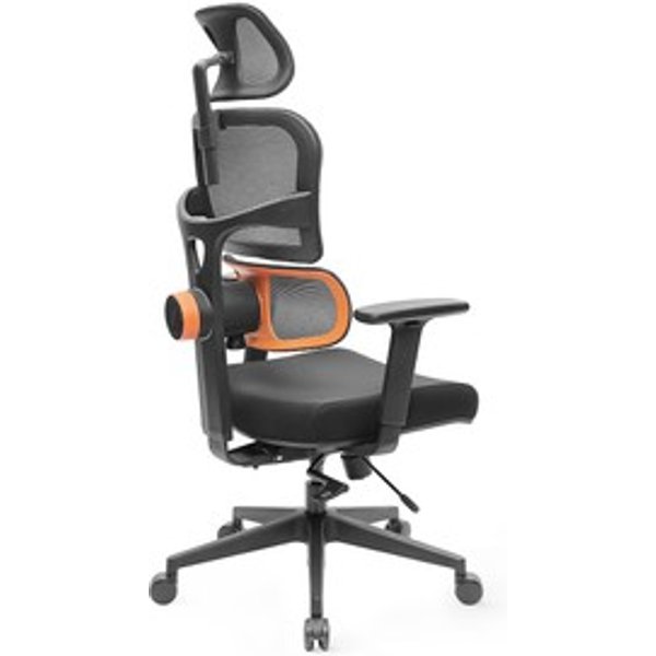 Newtral NT001 Chaise De Bureau Ergonomique Soutien Lombaire Adaptatif Dossier En Maille RéGlable Inclinaison à 3 Angles Accoudoirs 3D Noir-image