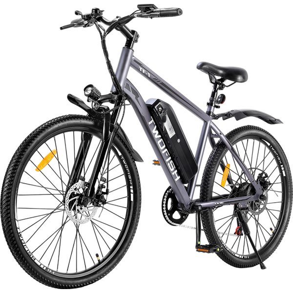 TWOFISH TF1 Electric Bike 250W 36V 15Ah Grey