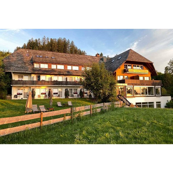 HôTel à Feldberg à Partir De 327€ Par Nuit-image