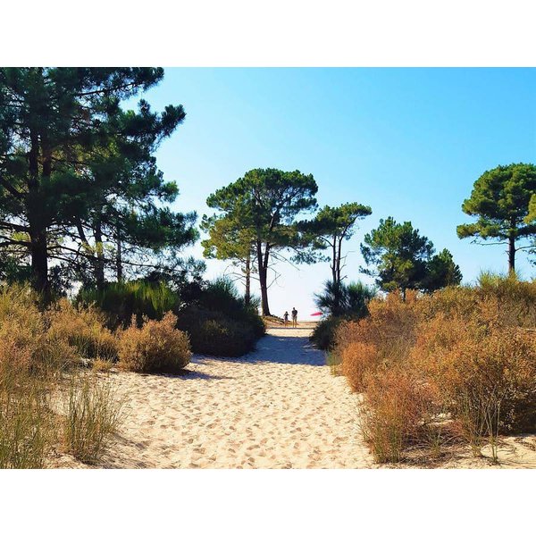 Maison De Vacances à Calvi à Partir De 66€ Par Nuit-image