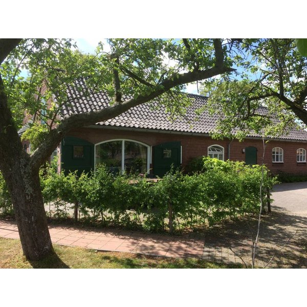 Maison De Vacances à Aalten à Partir De 202€ Par Nuit-image