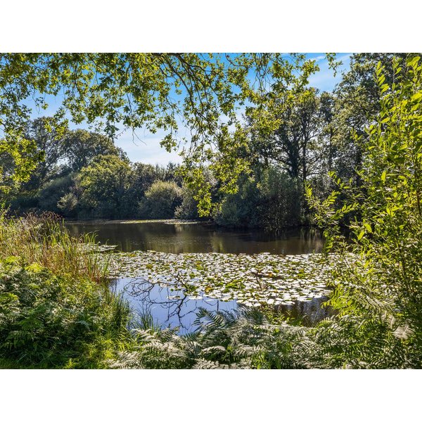Maison De Vacances à Sussex à Partir De 152€ Par Nuit-image