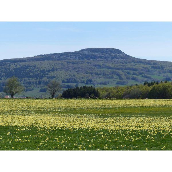 Camping à ArdèChe à Partir De 51€ Par Nuit-image