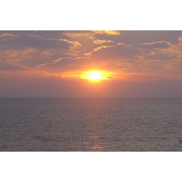 Appartement De Vacances à Sussex à Partir De 250€ Par Nuit-image