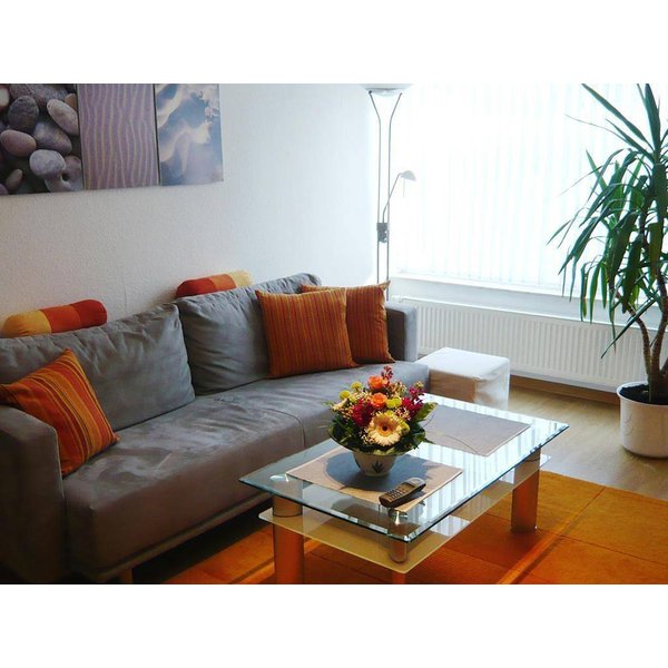 Appartement De Vacances à Celle à Partir De 59€ Par Nuit-image