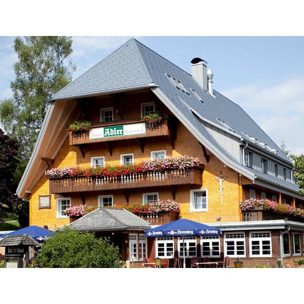 HôTel à Feldberg à Partir De 157€ Par Nuit-image