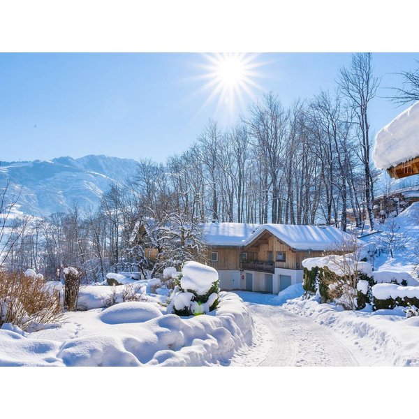 Appartement De Vacances à Pinzgau à Partir De 183€ Par Nuit-image