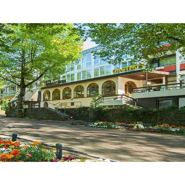 HôTel à Souabe à Partir De 176€ Par Nuit-image
