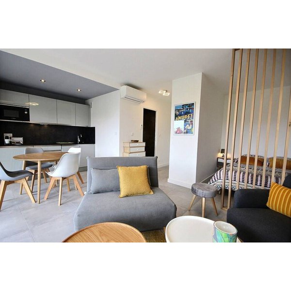 Appartement De Vacances à Antibes à Partir De 133€ Par Nuit-image