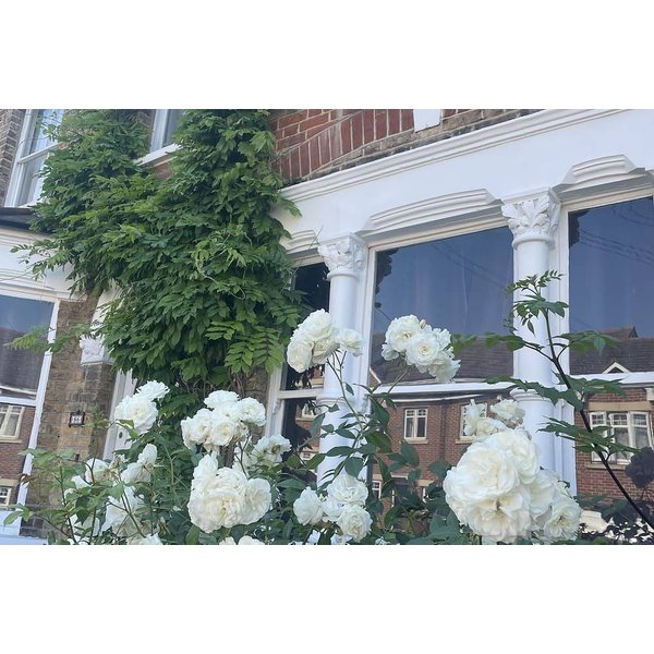 Maison De Vacances à Londres à Partir De 322€ Par Nuit-image