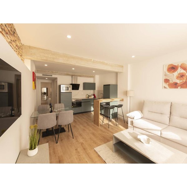 Appartement De Vacances à LogroñO à Partir De 225€ Par Nuit-image