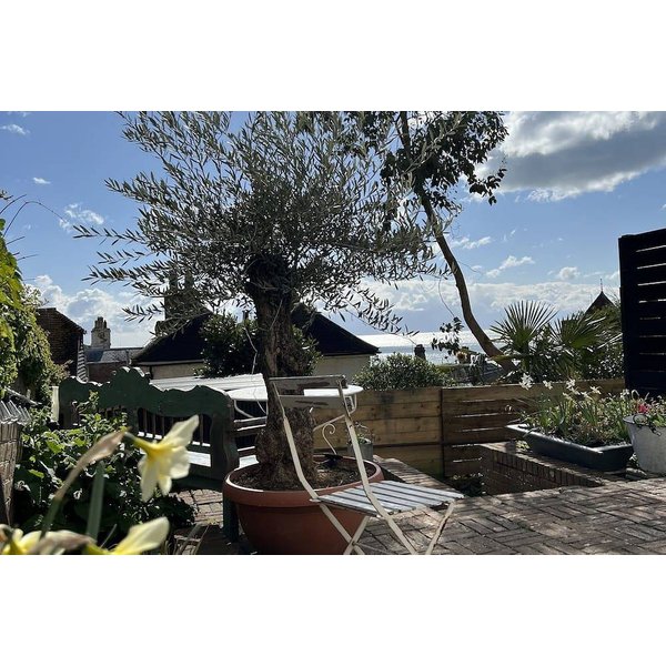 Maison De Vacances à Sussex à Partir De 279€ Par Nuit-image