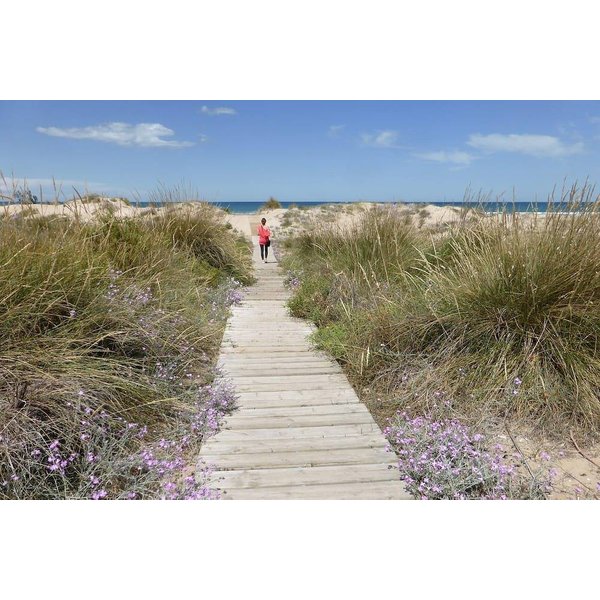 Maison De Vacances à Safor à Partir De 123€ Par Nuit-image