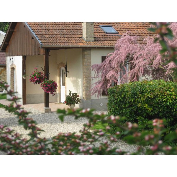 Maison De Vacances à Marne à Partir De 79€ Par Nuit-image