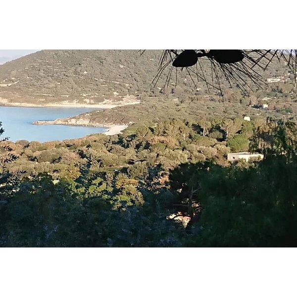 Maison De Vacances à Corbara à Partir De 266€ Par Nuit-image