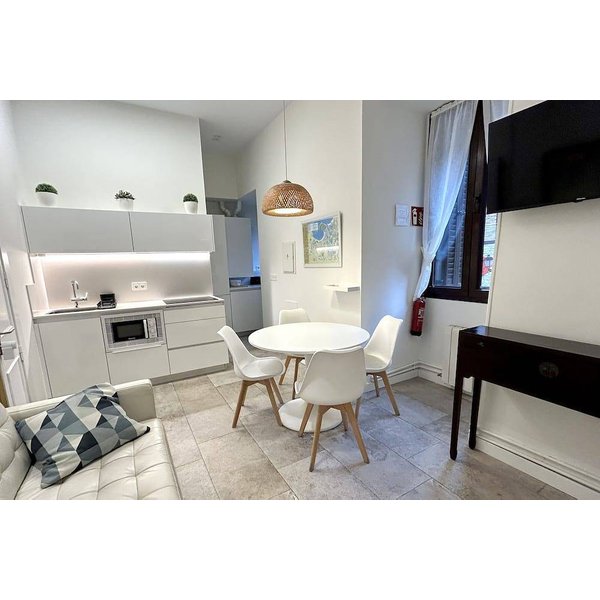 Appartement De Vacances à Guipuscoa à Partir De 242€ Par Nuit-image