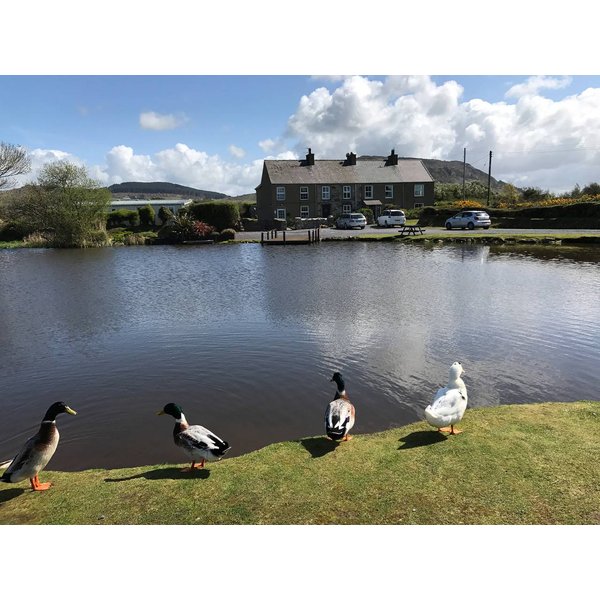 Maison De Vacances à Nefyn à Partir De 168€ Par Nuit-image