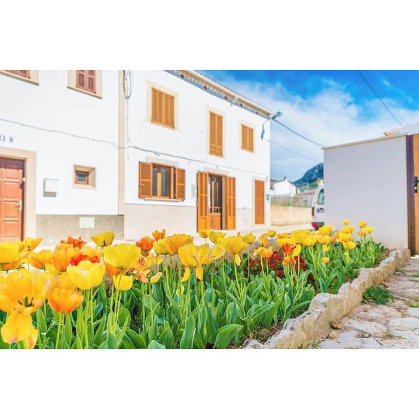 Appartement De Vacances à Artà à Partir De 268€ Par Nuit-image
