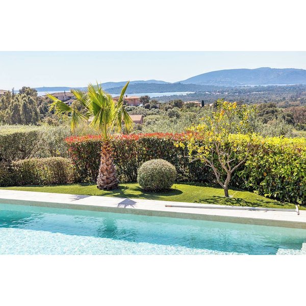 Maison De Vacances à Zonza à Partir De 619€ Par Nuit-image