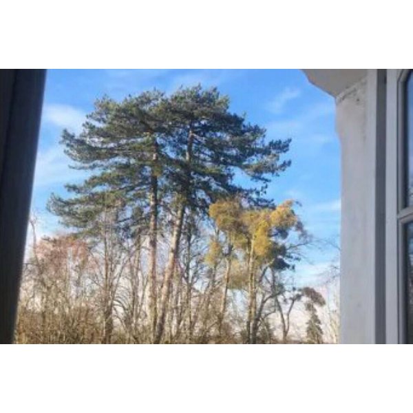 Appartement De Vacances à Yvelines à Partir De 52€ Par Nuit-image
