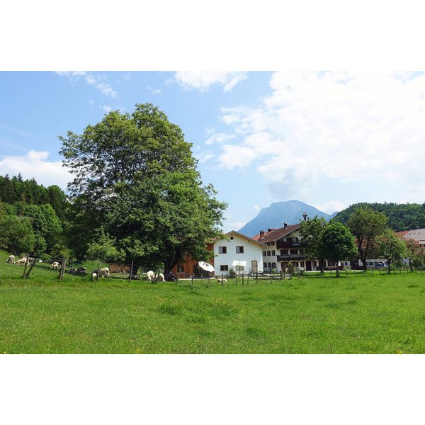 Appartement De Vacances à Haute-BavièRe à Partir De 79€ Par Nuit-image