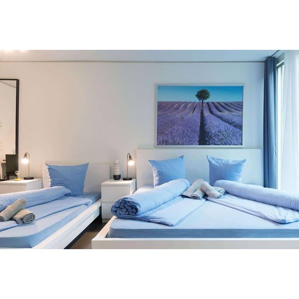 Appartement De Vacances à Lucerne à Partir De 127€ Par Nuit-image