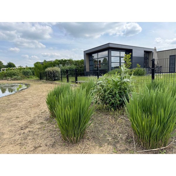 Maison De Vacances à Ijssel à Partir De 158€ Par Nuit-image
