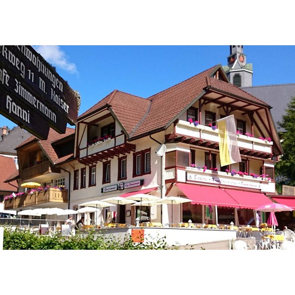 HôTel à Waldshut à Partir De 78€ Par Nuit-image