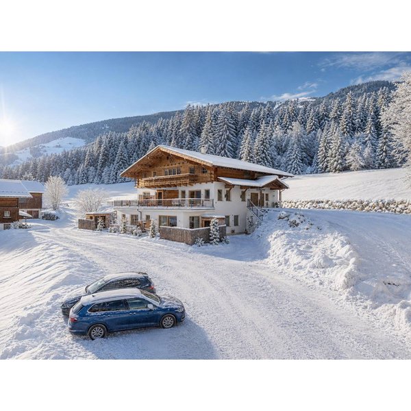 Appartement De Vacances à Pinzgau à Partir De 393€ Par Nuit-image