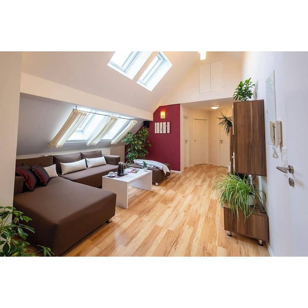 Appartement De Vacances à Franconie à Partir De 93€ Par Nuit-image