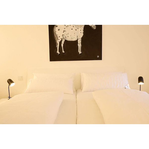 Appartement De Vacances à Regensburg à Partir De 154€ Par Nuit-image