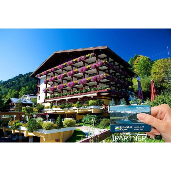 HôTel à Pinzgau à Partir De 265€ Par Nuit-image