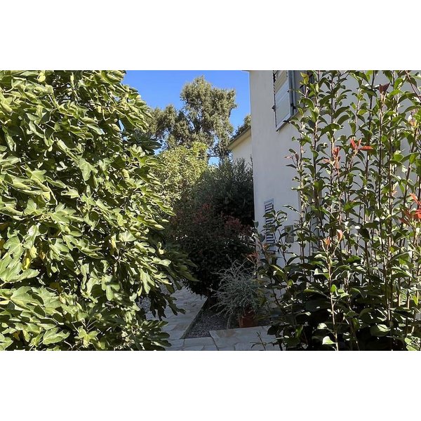 Maison De Vacances à Brando à Partir De 149€ Par Nuit-image