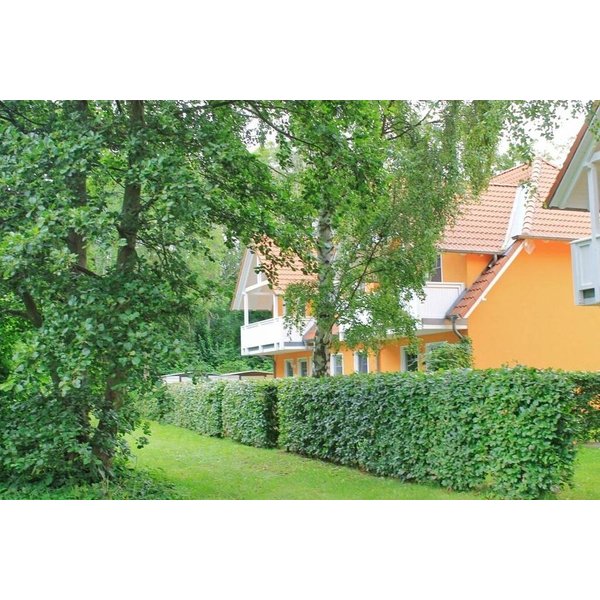 Appartement De Vacances à Breege à Partir De 63€ Par Nuit-image