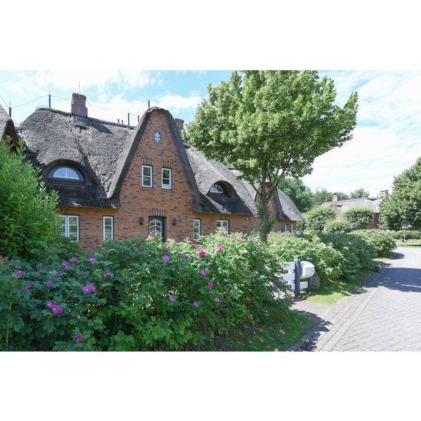 Maison De Vacances à FöHr à Partir De 338€ Par Nuit-image