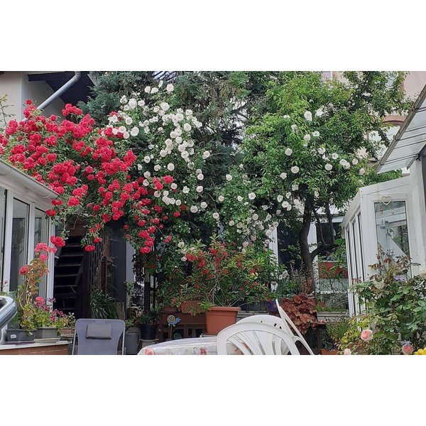 Appartement De Vacances à Alsace à Partir De 69€ Par Nuit-image