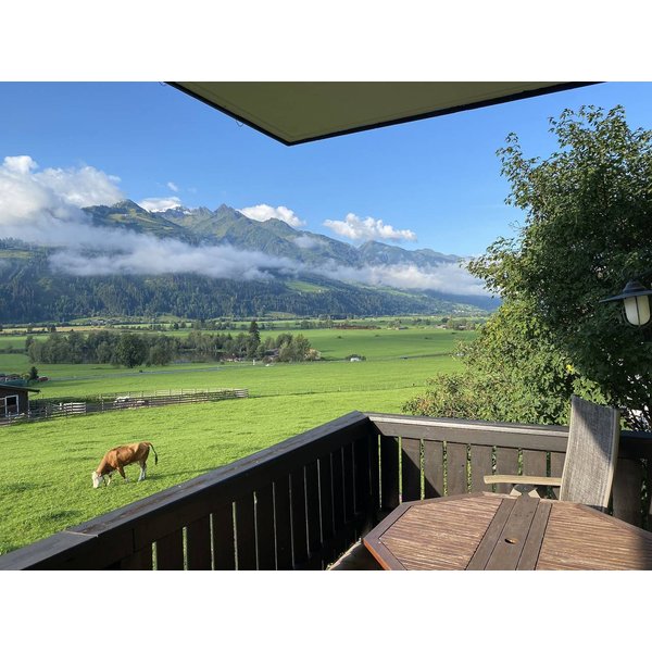 Appartement De Vacances à Pinzgau à Partir De 146€ Par Nuit-image