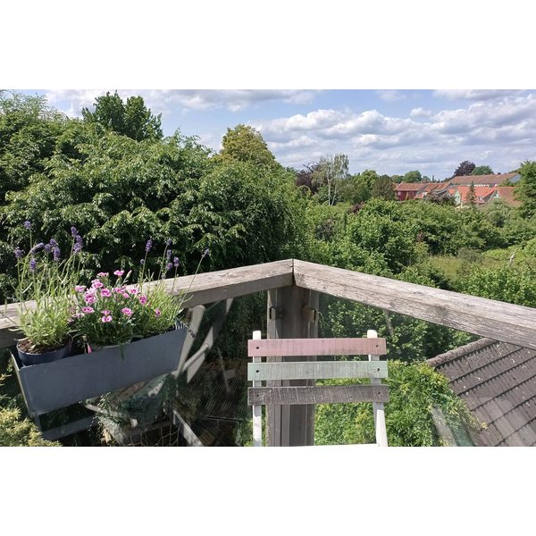Appartement De Vacances à Celle à Partir De 90€ Par Nuit-image