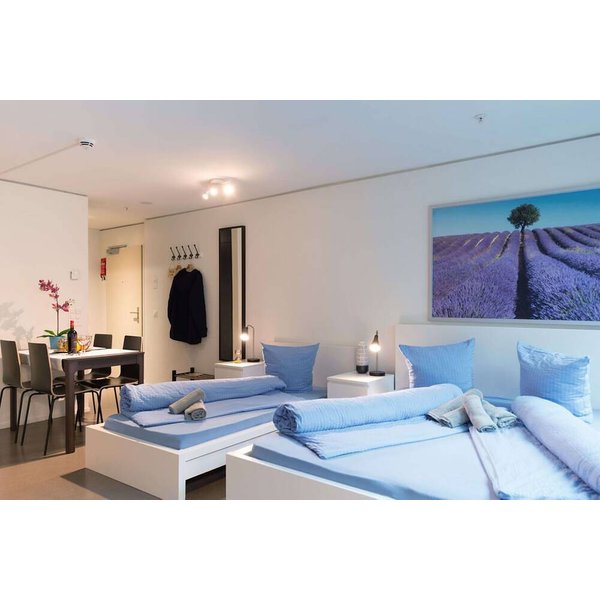 Appartement De Vacances à Lucerne à Partir De 128€ Par Nuit-image
