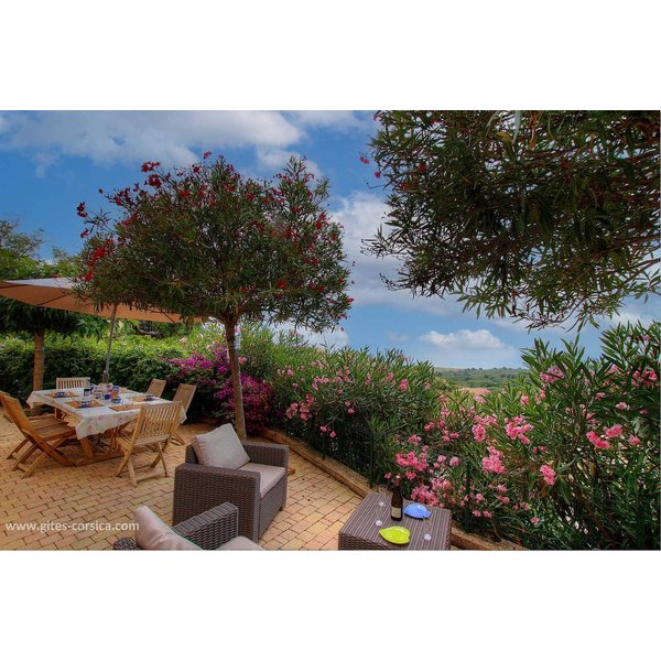 Maison De Vacances à Coggia à Partir De 132€ Par Nuit-image