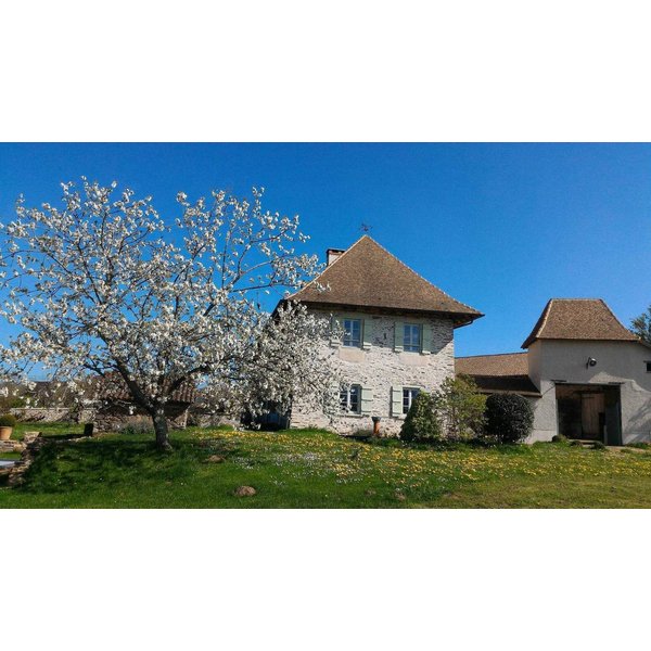HôTel à Limousin à Partir De 174€ Par Nuit-image